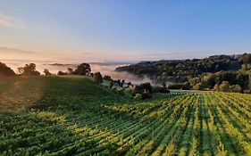 Weingut&Ferienwohnungen Lenhard