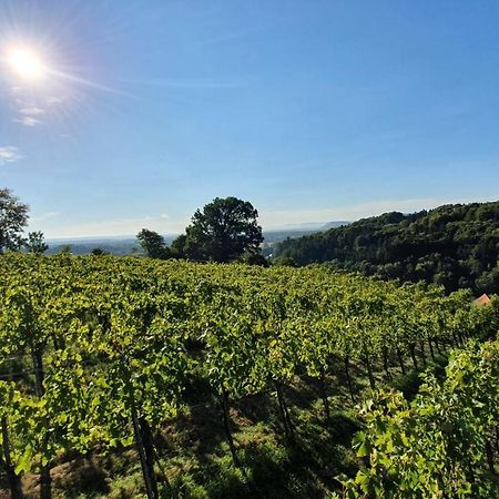 Weingut&Ferienwohnungen Lenhard Langaberg Exterior foto