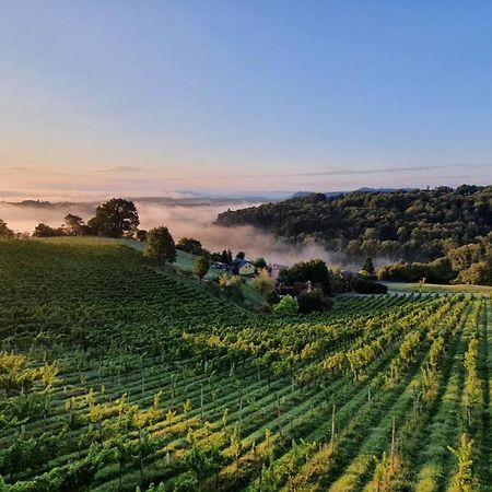 Weingut&Ferienwohnungen Lenhard Langaberg Exterior foto