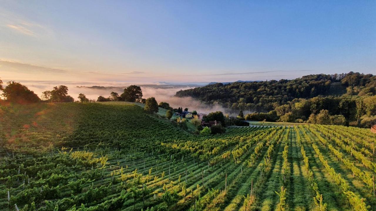 Weingut&Ferienwohnungen Lenhard Langaberg Exterior foto