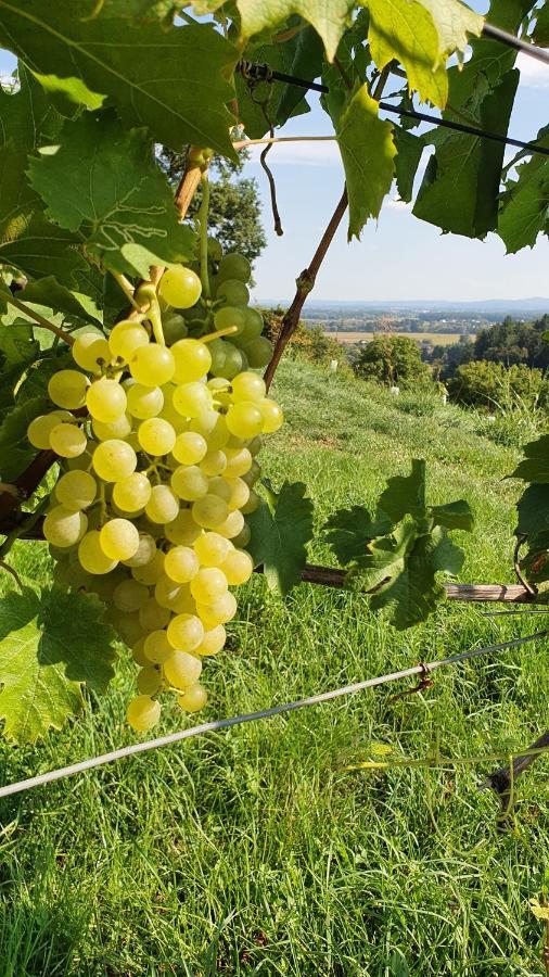 Weingut&Ferienwohnungen Lenhard Langaberg Exterior foto